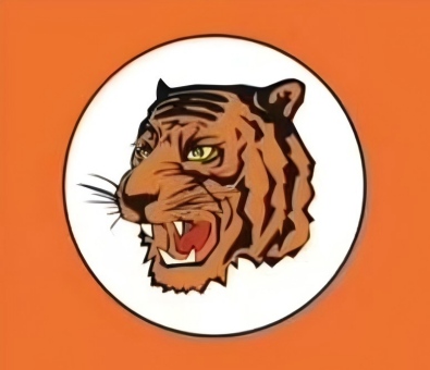 【短信+电话轰炸】猛虎电脑版